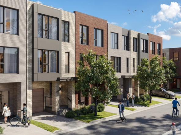 the winston collection