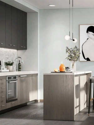 Duo Station Condos_Kitchen Duo Station