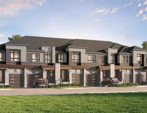 Untitled design (11) Untitled design (11)