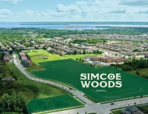 Simcoe woods